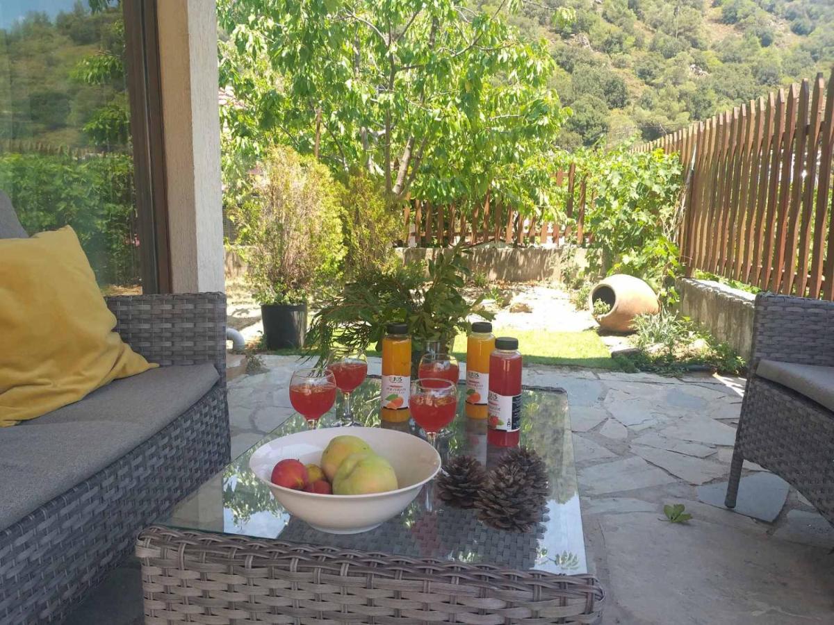 Protopapas House Kato Amiandos Dış mekan fotoğraf