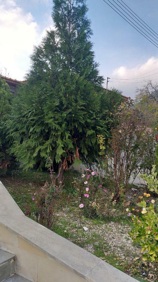 Protopapas House Kato Amiandos Dış mekan fotoğraf